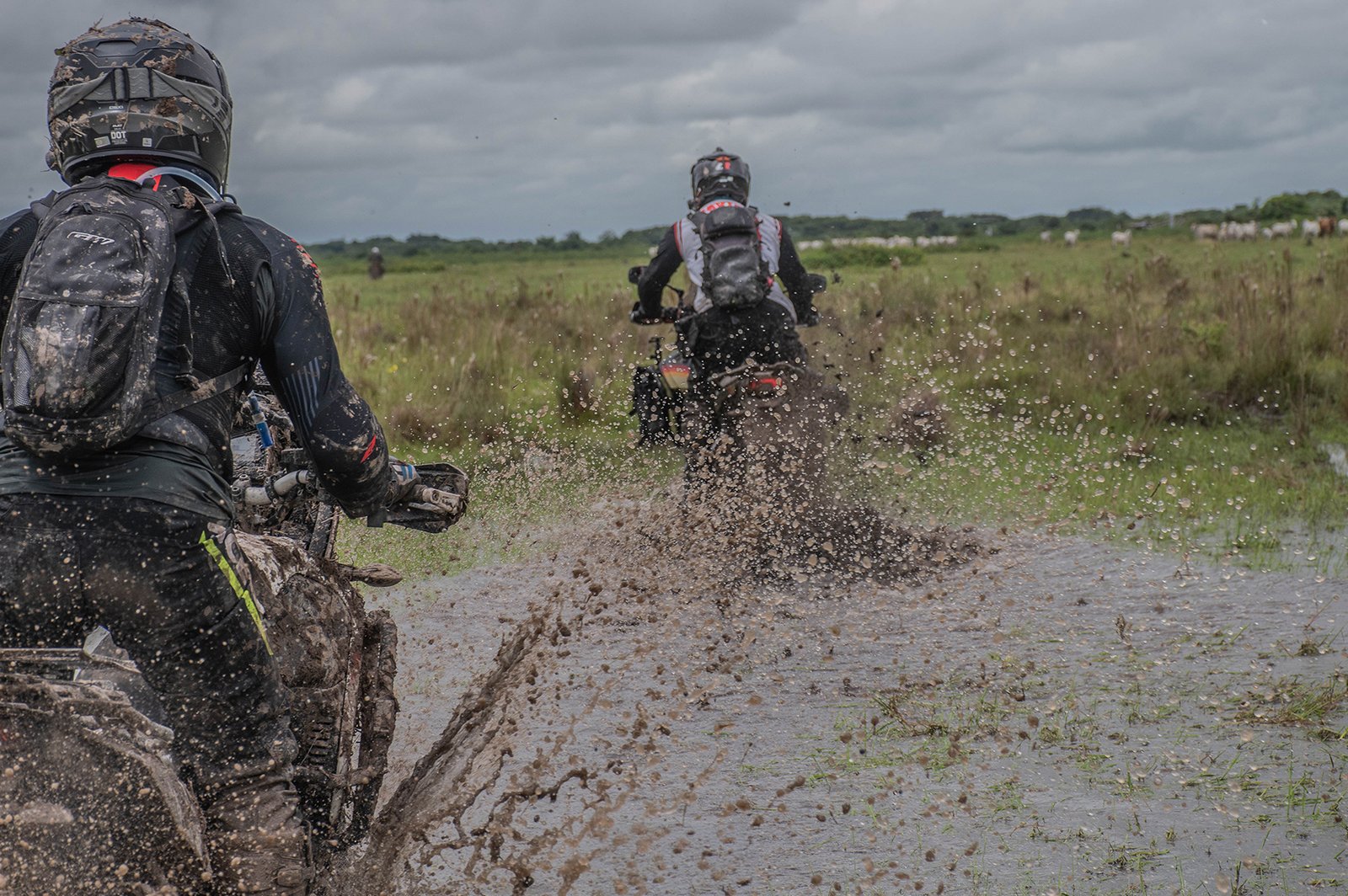 safari llanero en moto capital rider